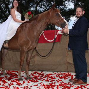 WoodStock Stables - Petting Zoo / Outdoor Party Entertainment in Apopka, Florida