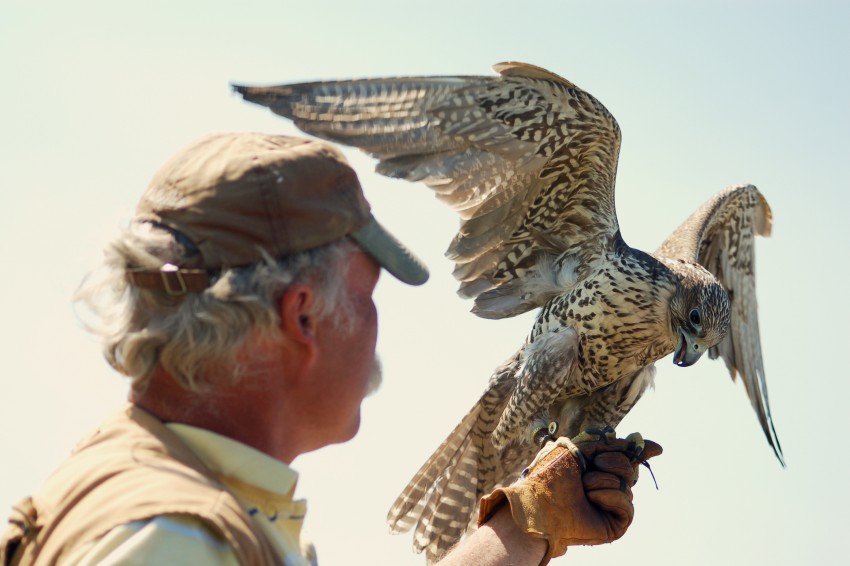 Hire World Birds Of Prey - Petting Zoo in Reno, Nevada