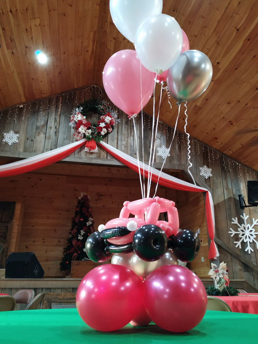 Hire WOW! Factor Balloon Decor Balloon Decor in Knoxville, Tennessee