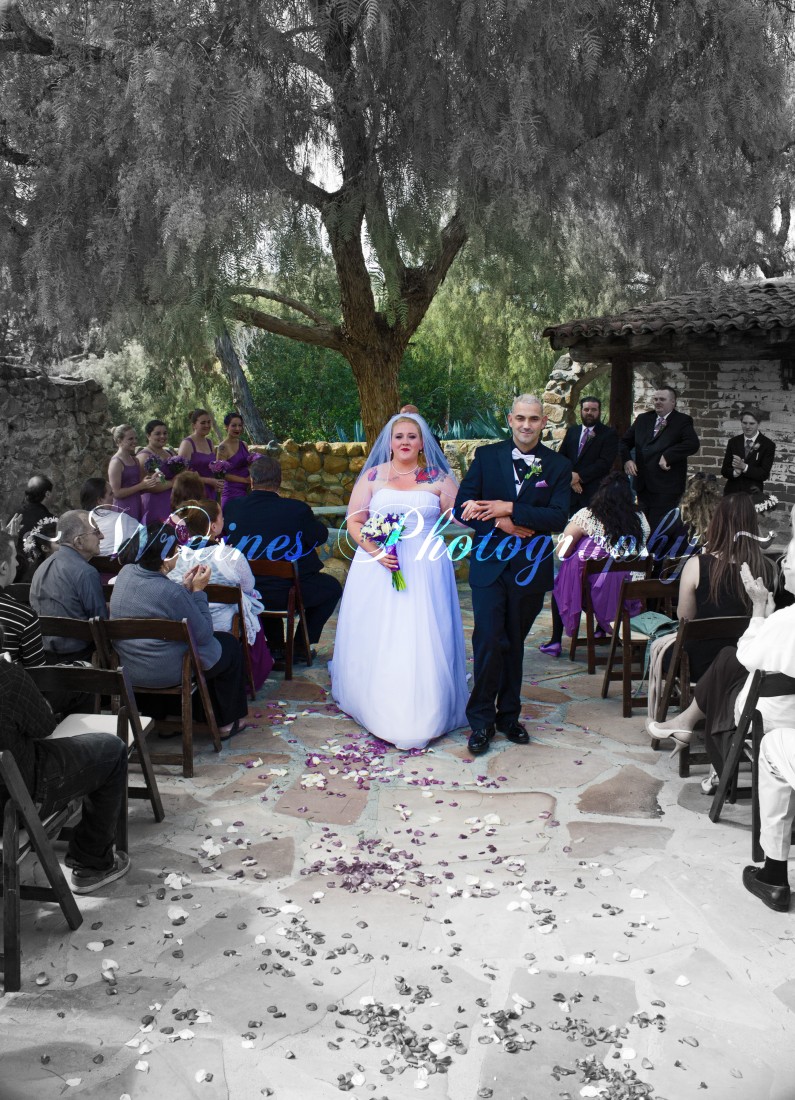 Gallery photo 1 of Wraines Photography