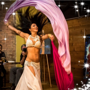 BellyDancePro - Belly Dancer in Palm Harbor, Florida