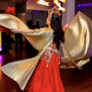 Yasmine - Belly Dancer / Middle Eastern Entertainment in Pembroke Pines, Florida