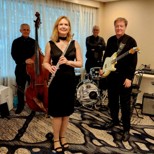 Princeton Music Connection - Wedding Band in Somerset, New Jersey
