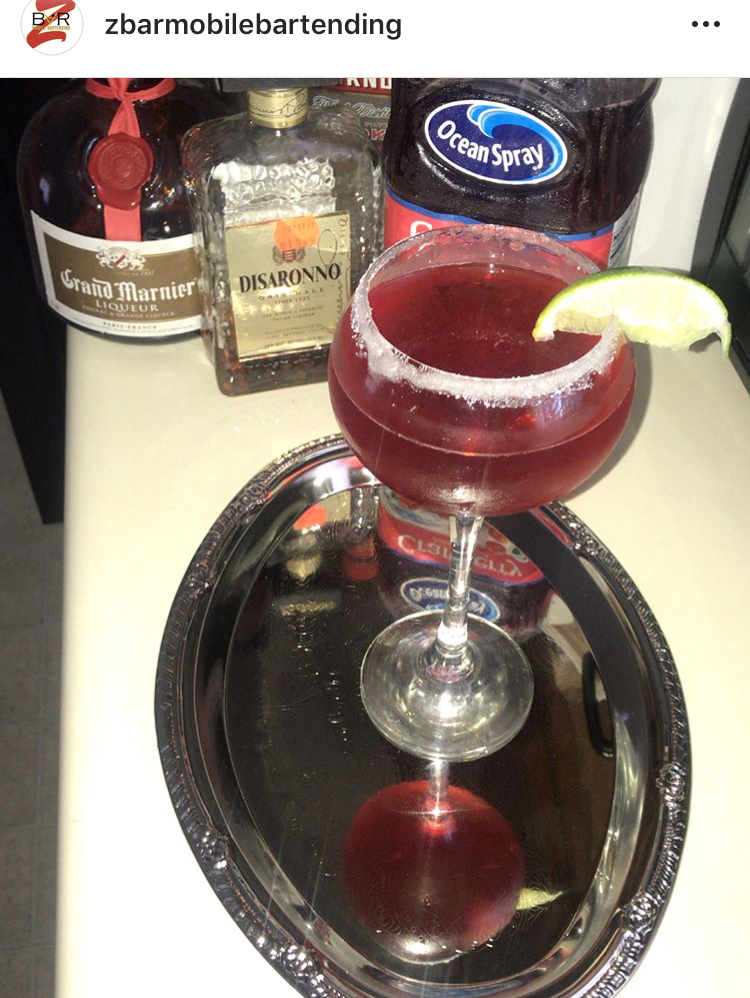 Hire Zbar Mobile Bartending Bartender in Pikesville, Maryland