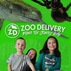 Zoo Delivery - Safari Master Showcase Parties