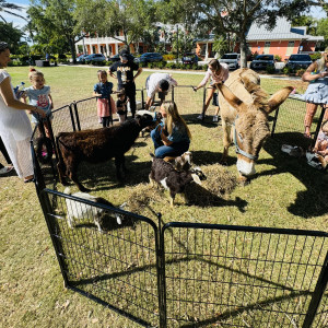ZooToGoFL! - Petting Zoo / Pony Party in Myakka City, Florida