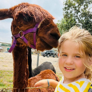 ZUBER - Mobile Petting Zoo - Petting Zoo / Outdoor Party Entertainment in Campobello, South Carolina